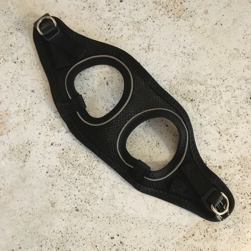 Pet harness